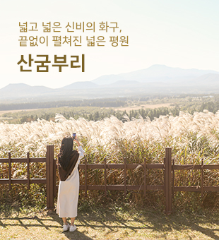 산굼부리